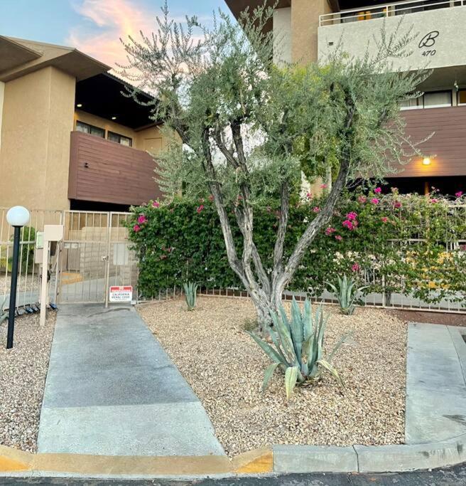 Mcm Condo Downtown Palm Springs Exterior photo